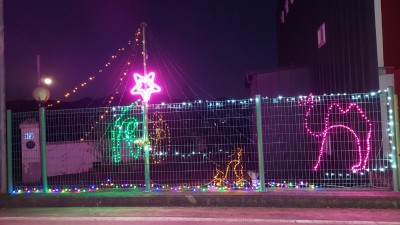 2025년 교회 성탄 트리?